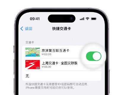 青山apple维修点分享iPhone上更换Apple Pay快捷交通卡手绘卡面 