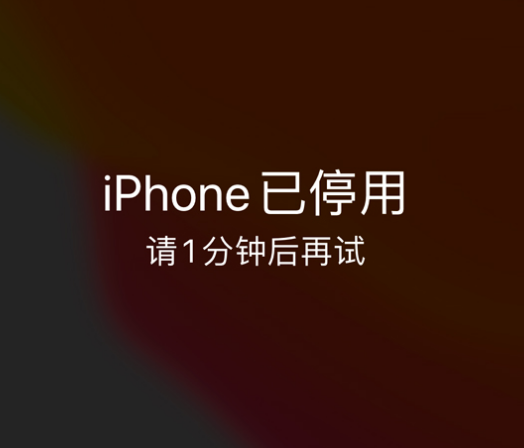 青山苹果手机维修分享:iPhone 显示“不可用”或“已停用”怎么办？还能保留数据吗？ 