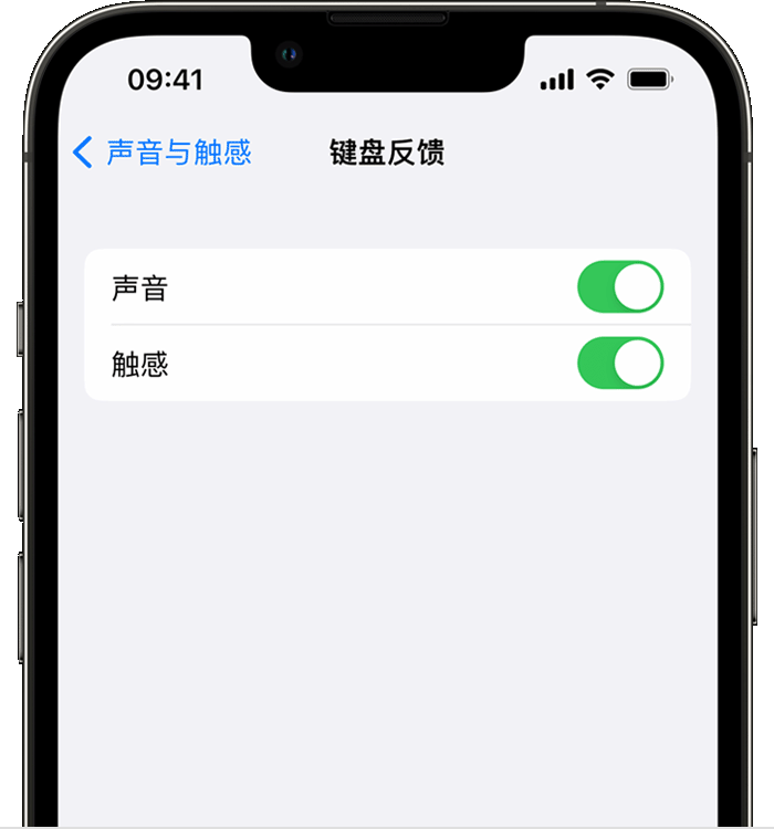 青山苹果14维修店分享如何在 iPhone 14 机型中使用触感键盘 