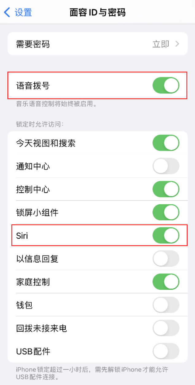 青山苹果维修网点分享不解锁 iPhone 的情况下通过 Siri 拨打电话的方法 