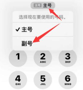 青山苹果14维修店分享iPhone 14 Pro Max使用副卡打电话的方法 