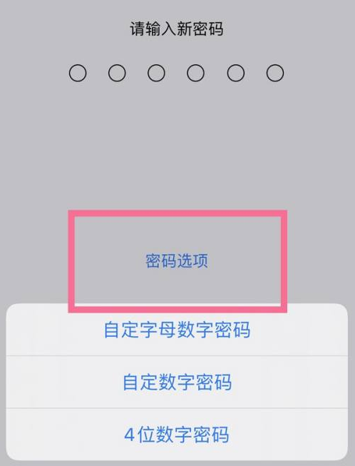 青山苹果14维修分享iPhone 14plus设置密码的方法 