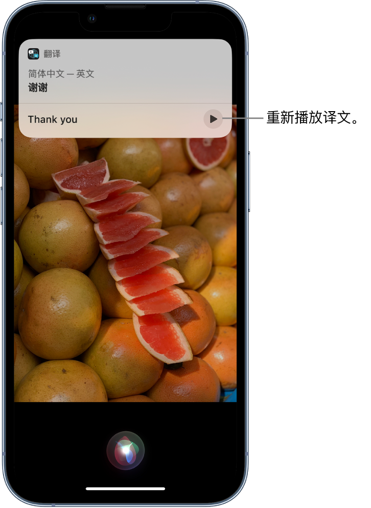 青山苹果14维修分享 iPhone 14 机型中使用 Siri：了解 Siri 能帮你做什么 