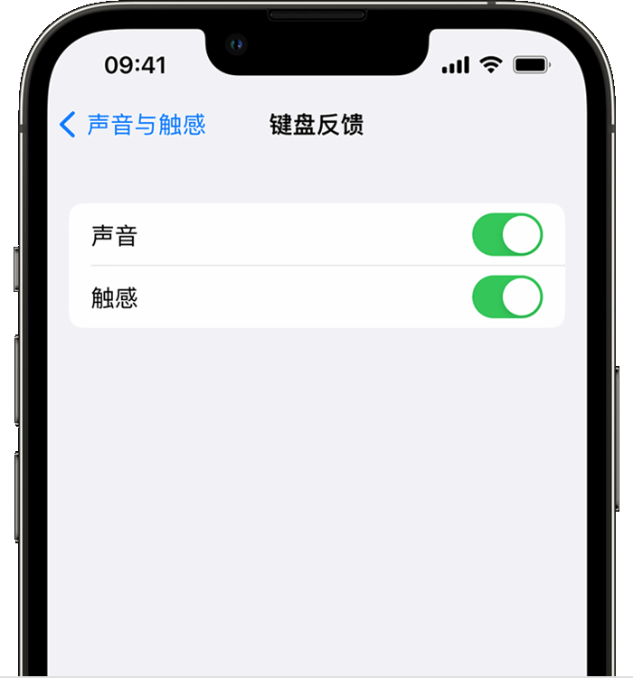 青山苹果14维修分享iPhone 14 系列机型如何开启键盘声音或触感反馈 