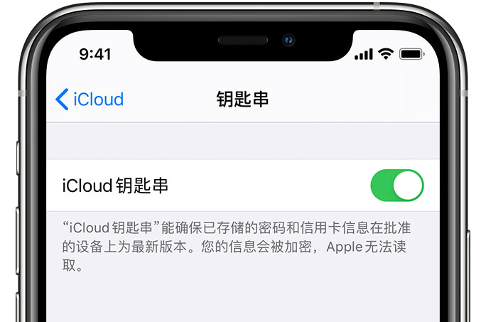 青山苹果手机维修分享在 iPhone 上开启 iCloud 钥匙串之后会储存哪些信息 