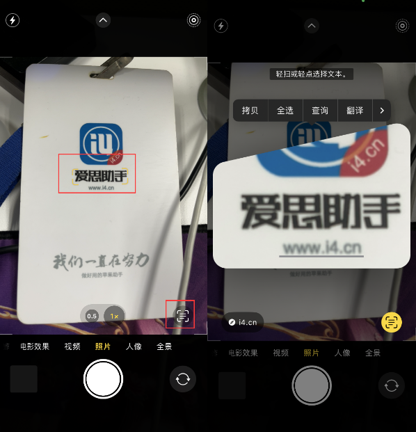 青山苹果手机维修分享升级iOS 16后如何通过相机翻译文本 