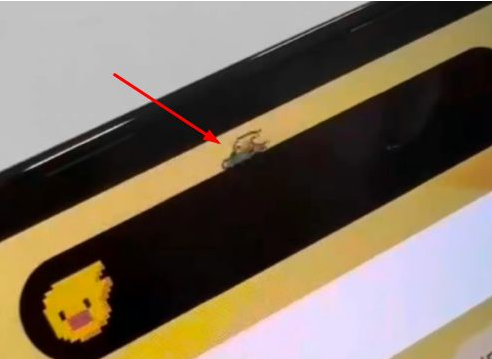 青山苹果14维修分享iPhone 14 Pro Max灵动岛怎么养宠物 
