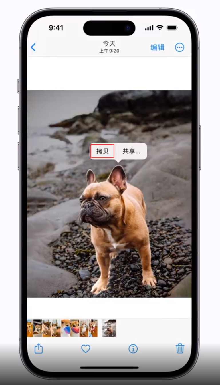 青山苹果手机维修分享 iOS 16 自带一键抠图功能 