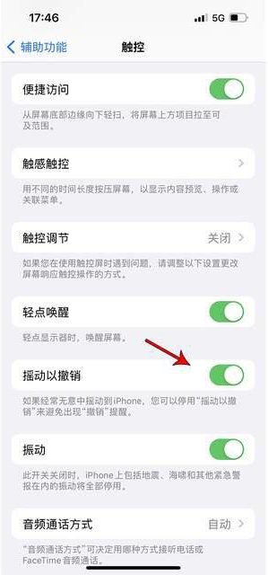 青山苹果手机维修分享iPhone手机如何设置摇一摇删除文字 