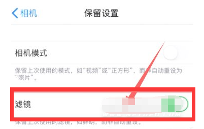 青山苹果13维修分享iPhone13拍照有绿点是怎么回事 