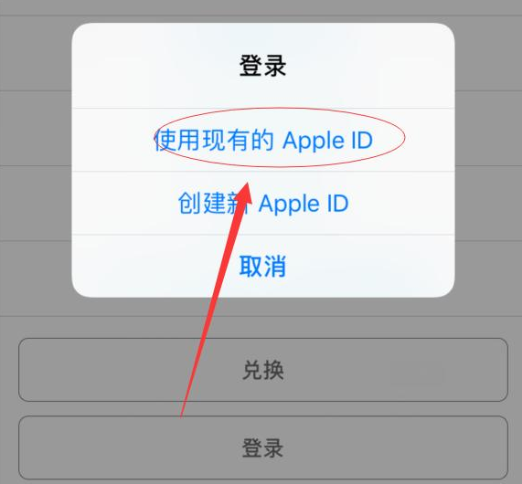 青山苹果手机维修分享两台iPhone设备可以同时登录一个Apple ID吗 
