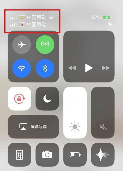 青山苹果手机维修分享为 iPhone 12 双卡设置标签 